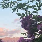 아파트 Kaiserpanorama - Alpenmagie