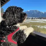 아파트 Kaiserpanorama - Alpenmagie