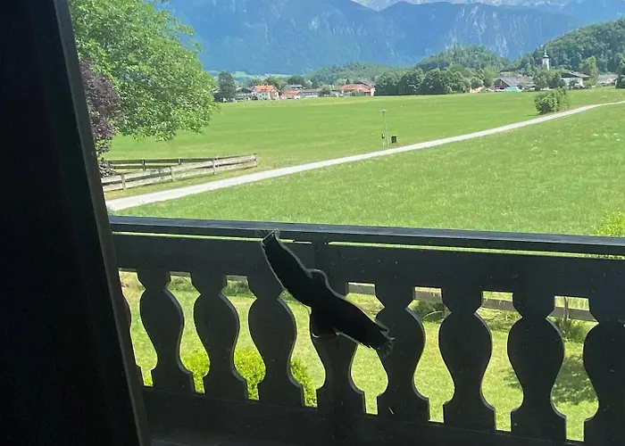 Kaiserpanorama - Alpenmagie Appartement Oberaudorf